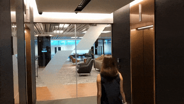 Facial Recognition Access.gif