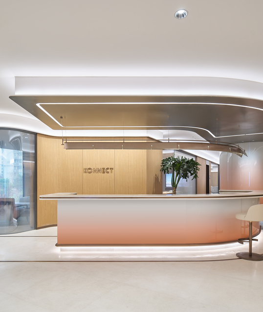 Konnect reception.jpg