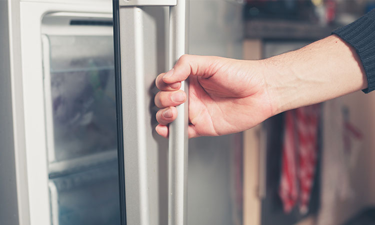 fridge.jpg