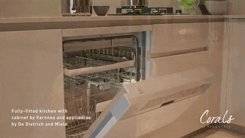 DeDietrich-dishwasher.gif