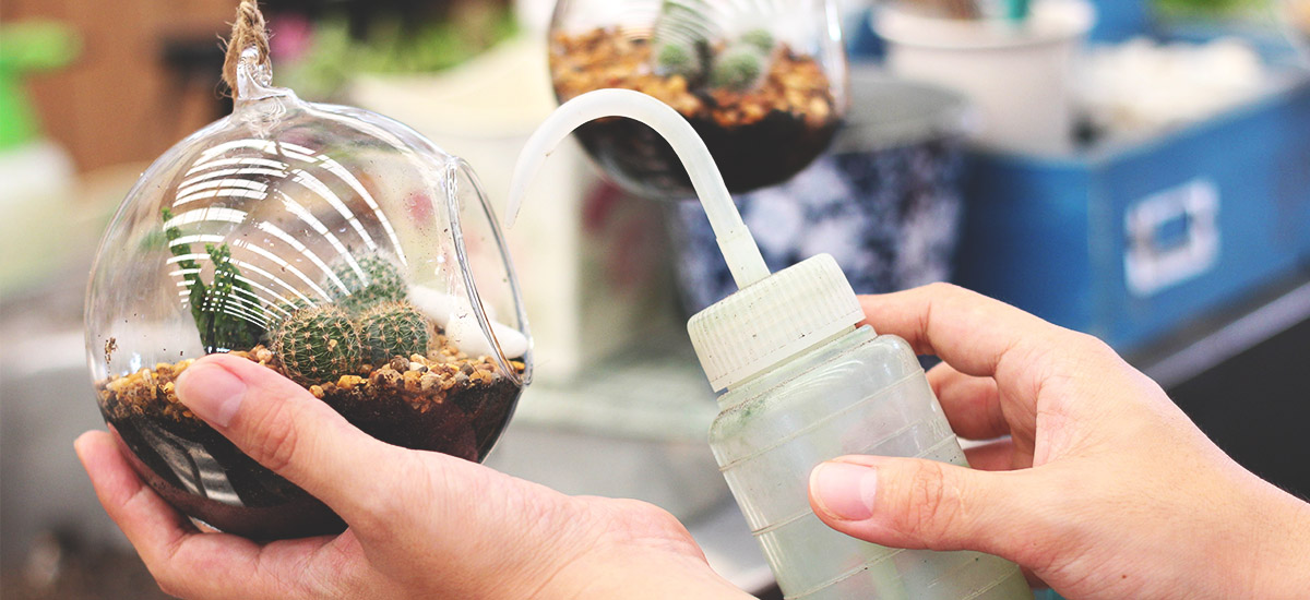 watering-terrarium.jpg