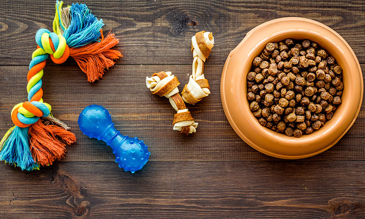 dog-toys-food.jpg