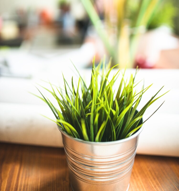 office-tips-brighten-750x800.jpg