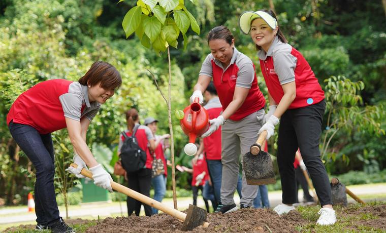 Tree Planting