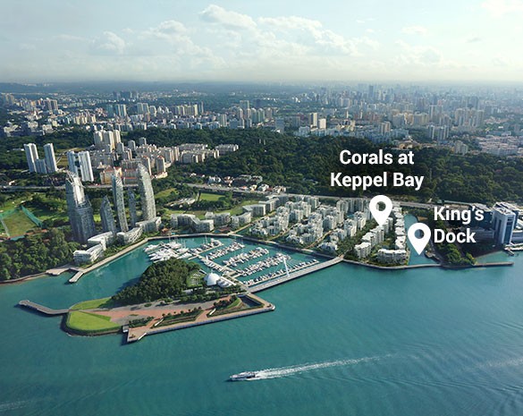 keppel bay - corals.jpeg