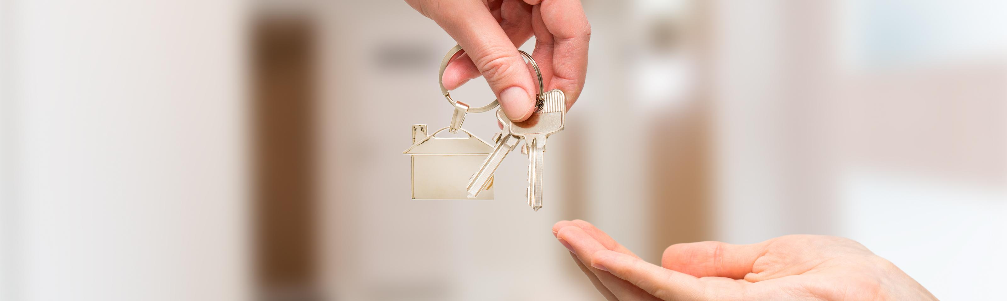 iStock-518348918.jpg